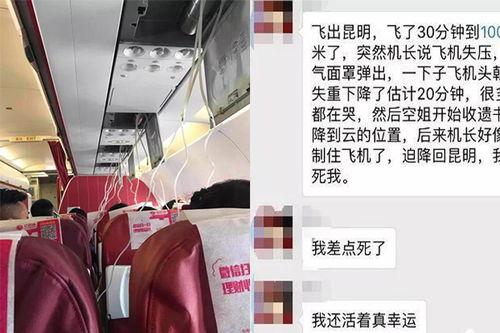 昆明新闻爆料,揭秘近期热点事件背后的真相