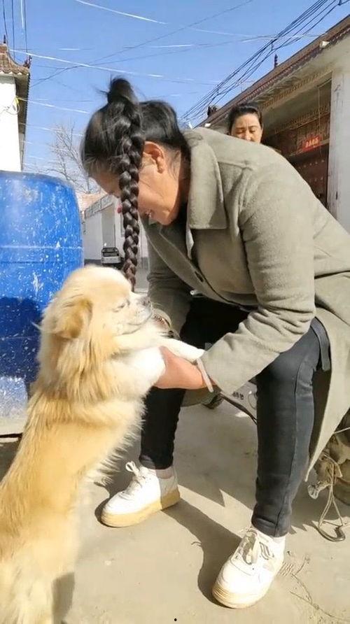 狗嫂爆料吴迪视频,事件真相引发热议