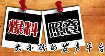 天水市当地新闻爆料网站有哪些,掌握城市脉搏的窗口