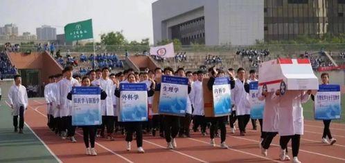 五邑大学爆料事件真相视频,揭开校园疑云背后的真相