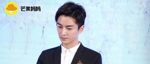 娱乐圈吃瓜陈晓是谁,娱乐圈吃瓜达人，揭秘明星幕后故事